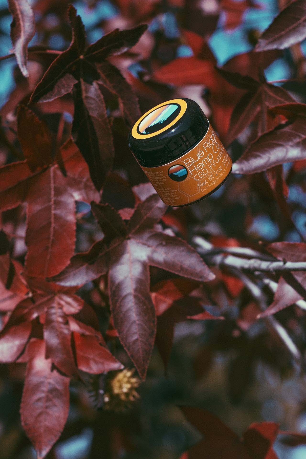 blue-ridge-hemp-cbd-cbd-for-headache-cbd-life-1667067